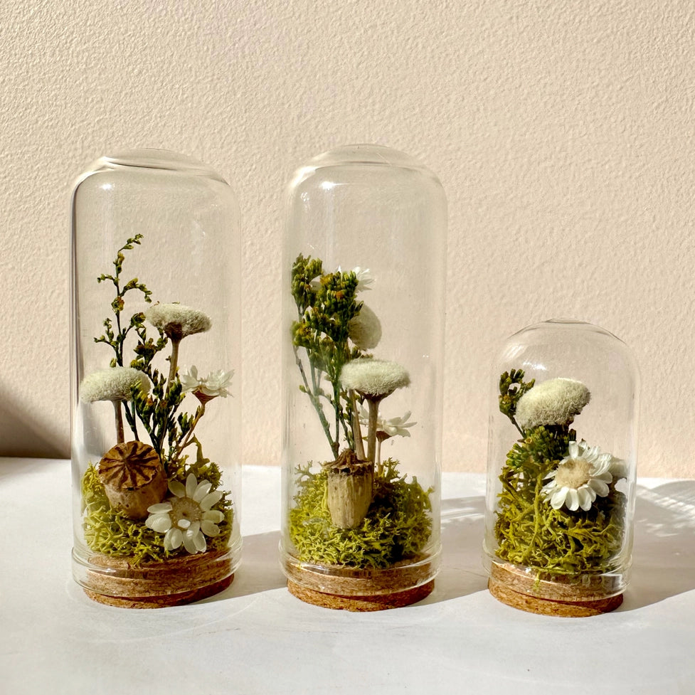 Flower Forest Mini Glass Cloche Terrarium W. Dried Florals
