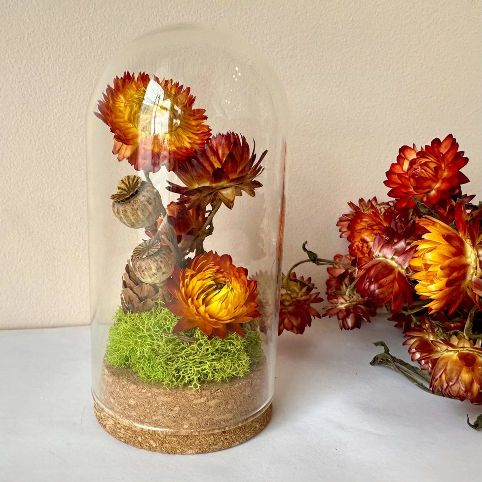 Large Botanical Glass Terrarium Jar W. Dried Orange Florals