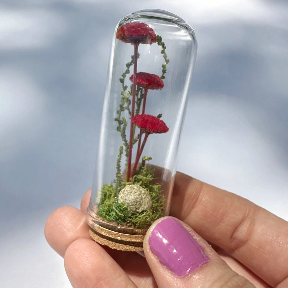 Red Mushroom Fields Mini Terrarium Jar W Dried Florals