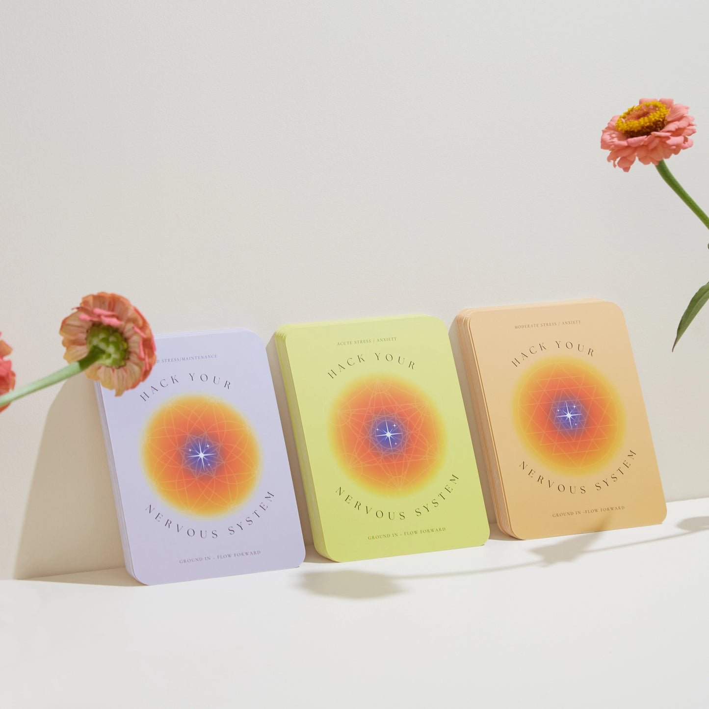 Hack Your Nervous System – The Deck for Everyday Regulation