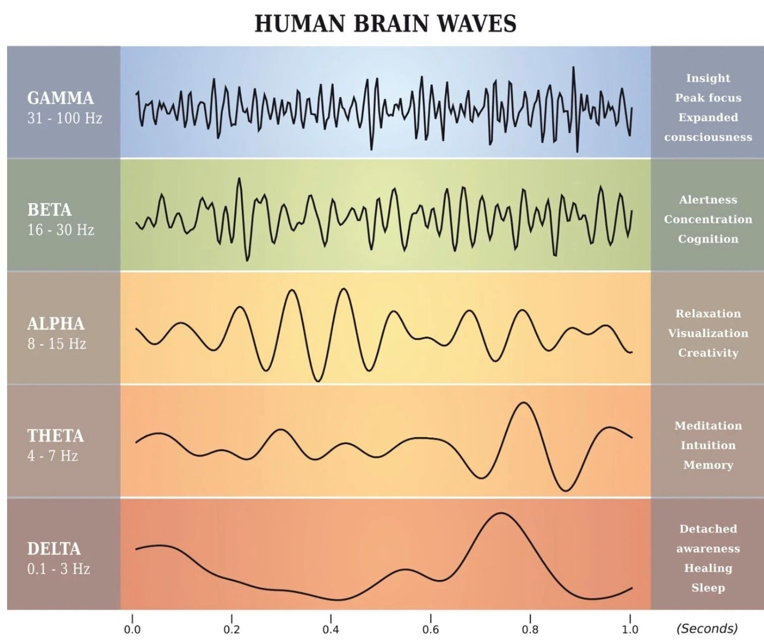 Neuroptimal® Brain Training 🧠✨