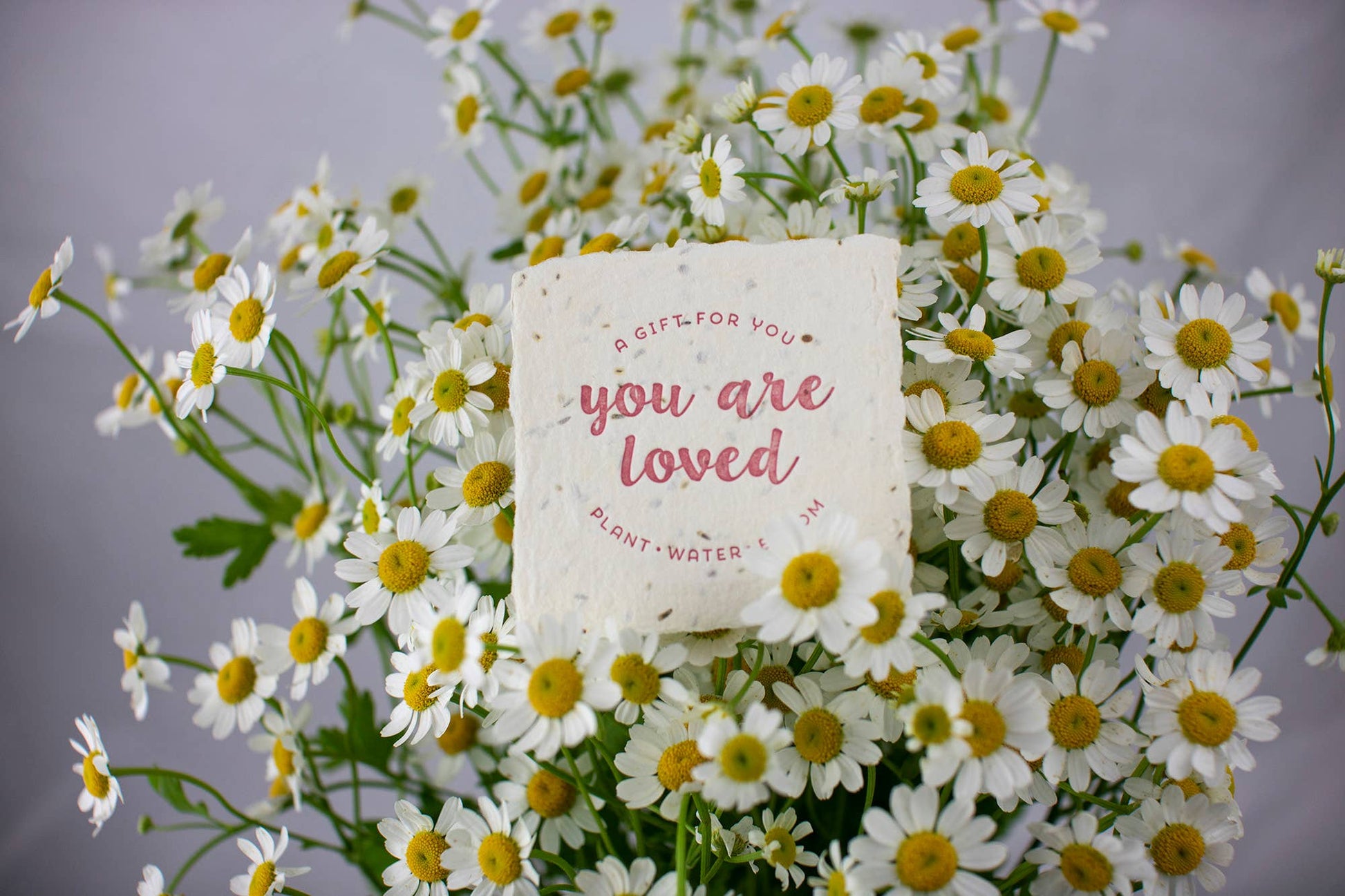 A You Are Loved Message — Petite Wildflower Seed Paper Note 🌸 - Nurturewise