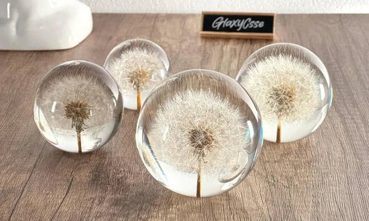 Dandelion resin paperweight - Nurturewise