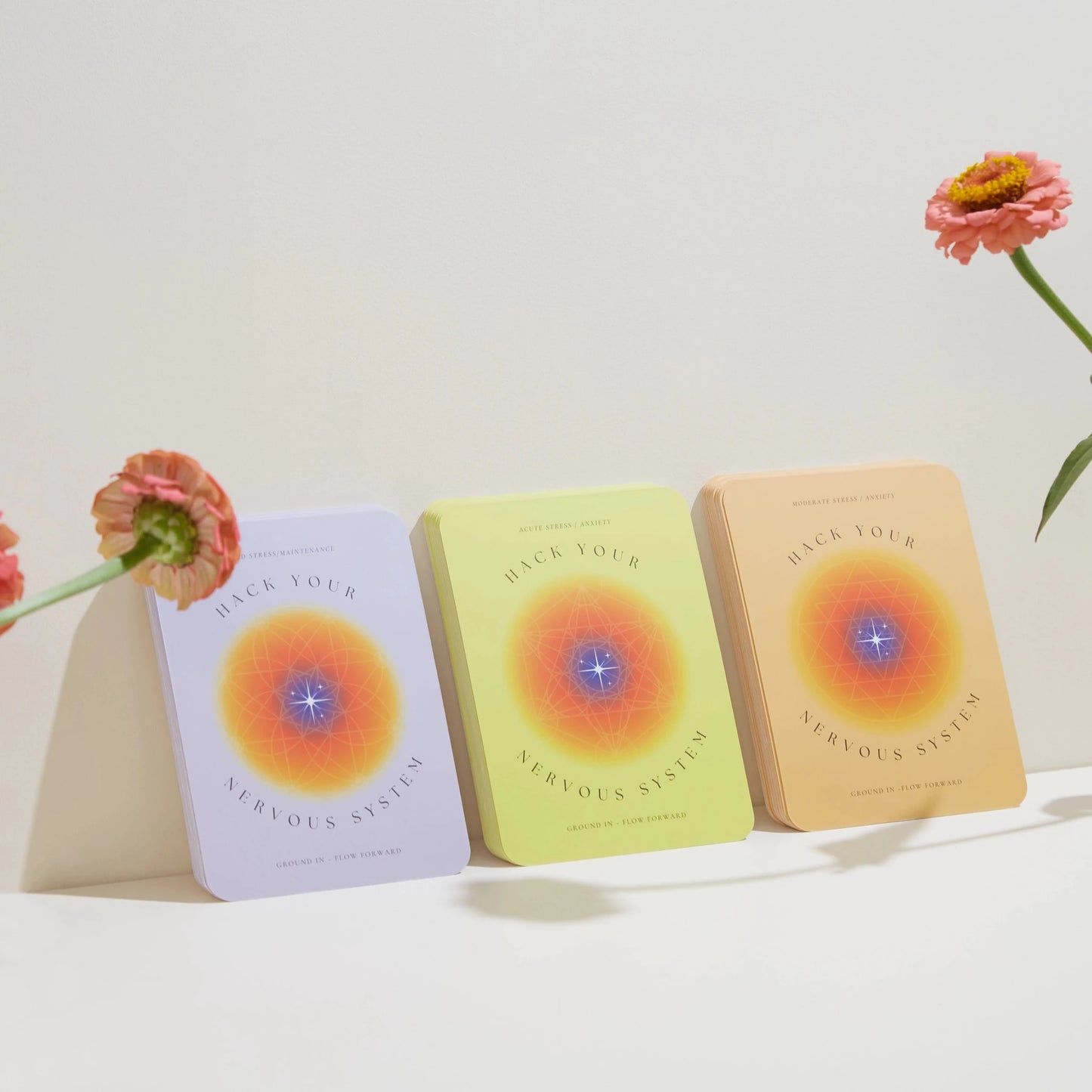 Hack Your Nervous System – The Deck for Everyday Regulation - Nurturewise