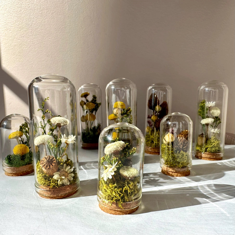 Meadow Mix Mini Glass Cloche Terrarium W. Dried Florals