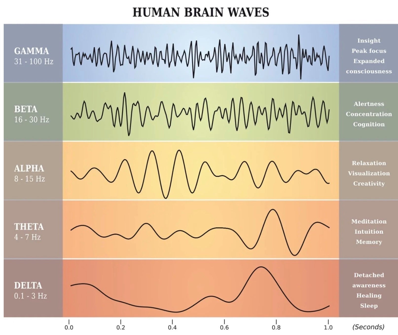 Neuroptimal® Brain Training Session (60 mins) 🧠✨ - Nurturewise